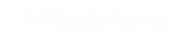 1:1 Begleitung